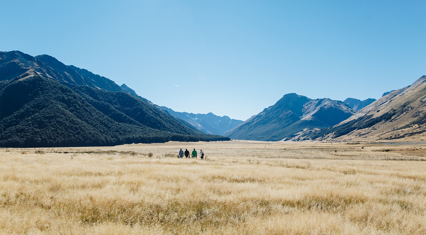 Sightseeing Landscapes Black NZ